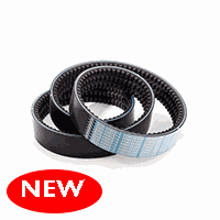 CINGHIA POWERBAND XPZ 800/2